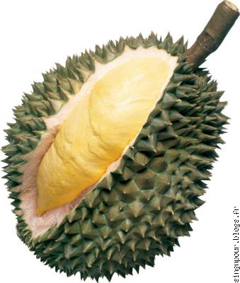 Un monstrueux durian ouvert