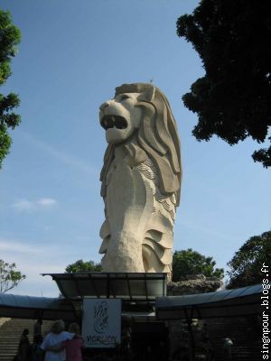 Le lion de Santosa
